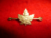 229th Battalion (South Saskatchewan) Tie-Pin